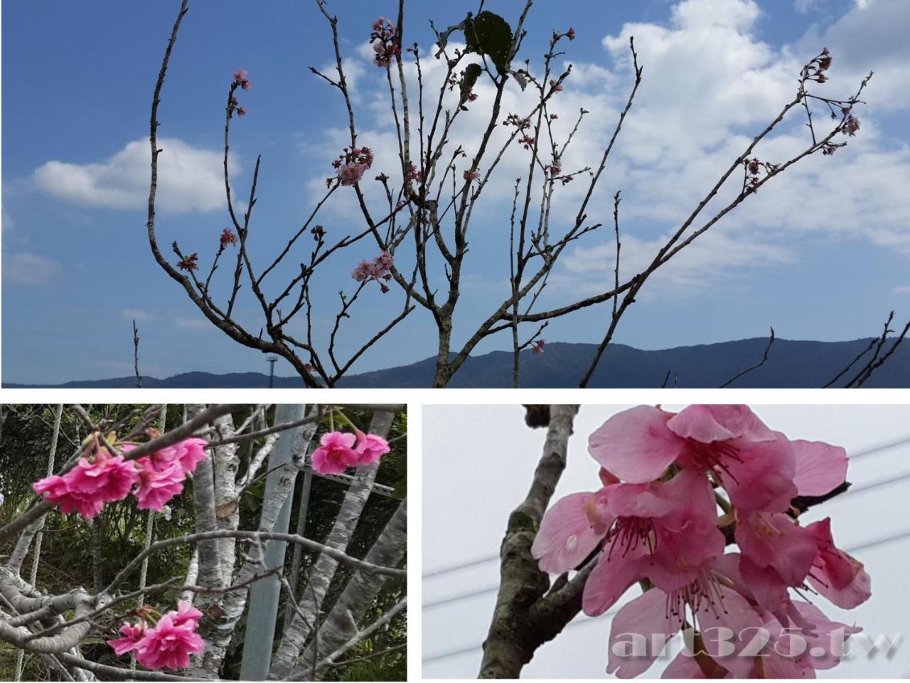 Yi Tian Homestay Fenglin Zewnętrze zdjęcie