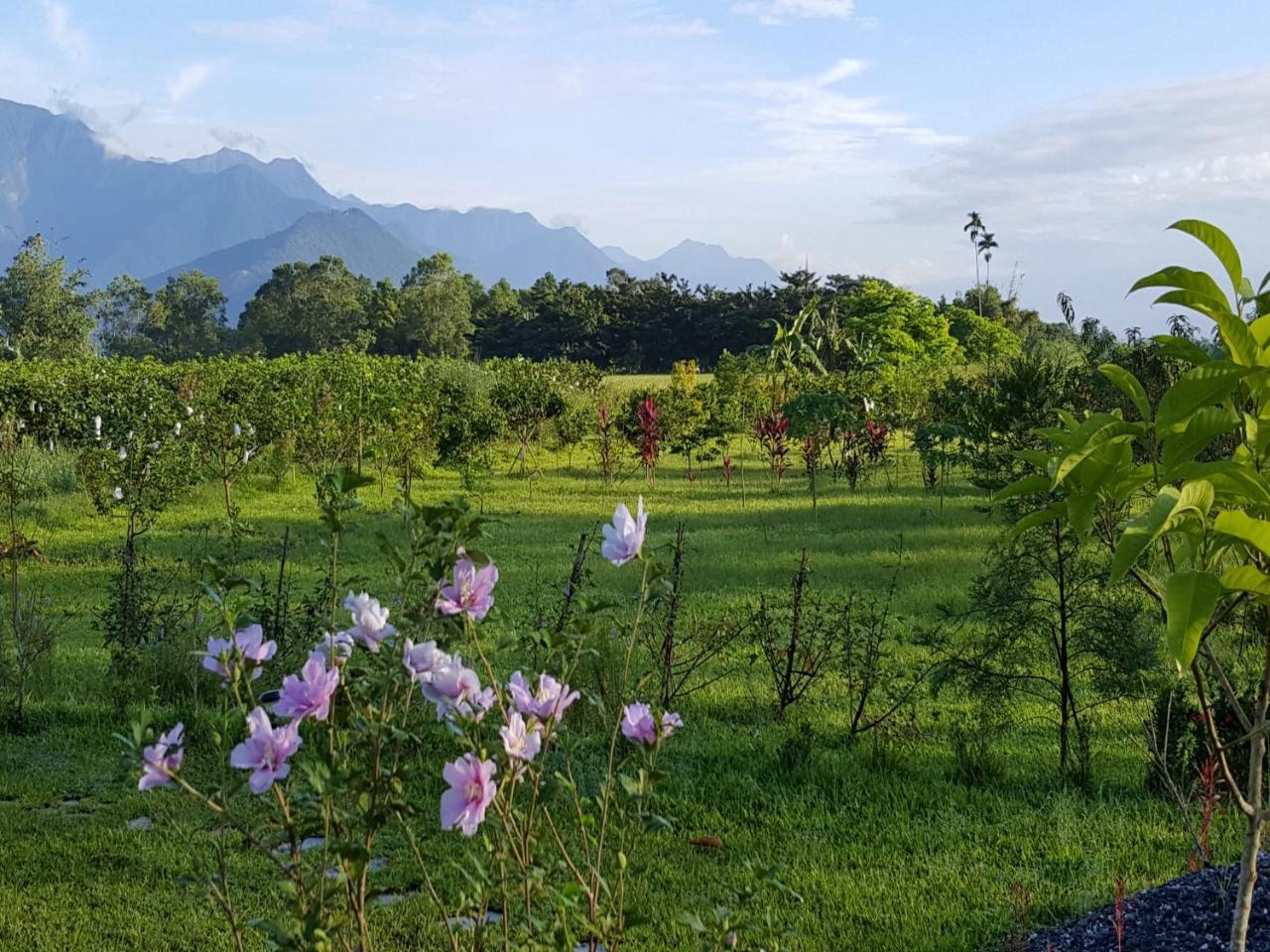 Yi Tian Homestay Fenglin Zewnętrze zdjęcie