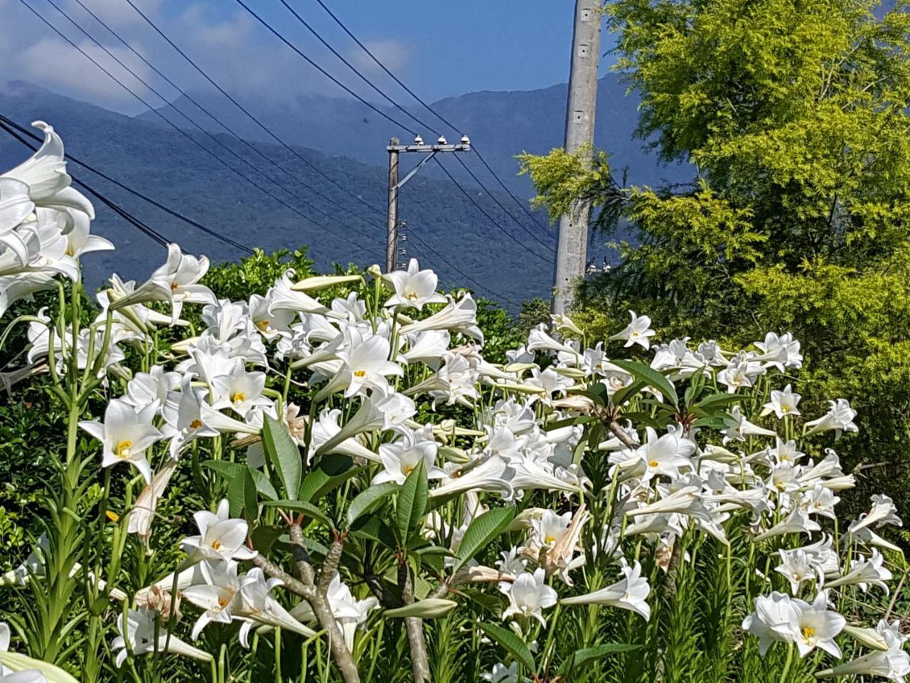 Yi Tian Homestay Fenglin Zewnętrze zdjęcie