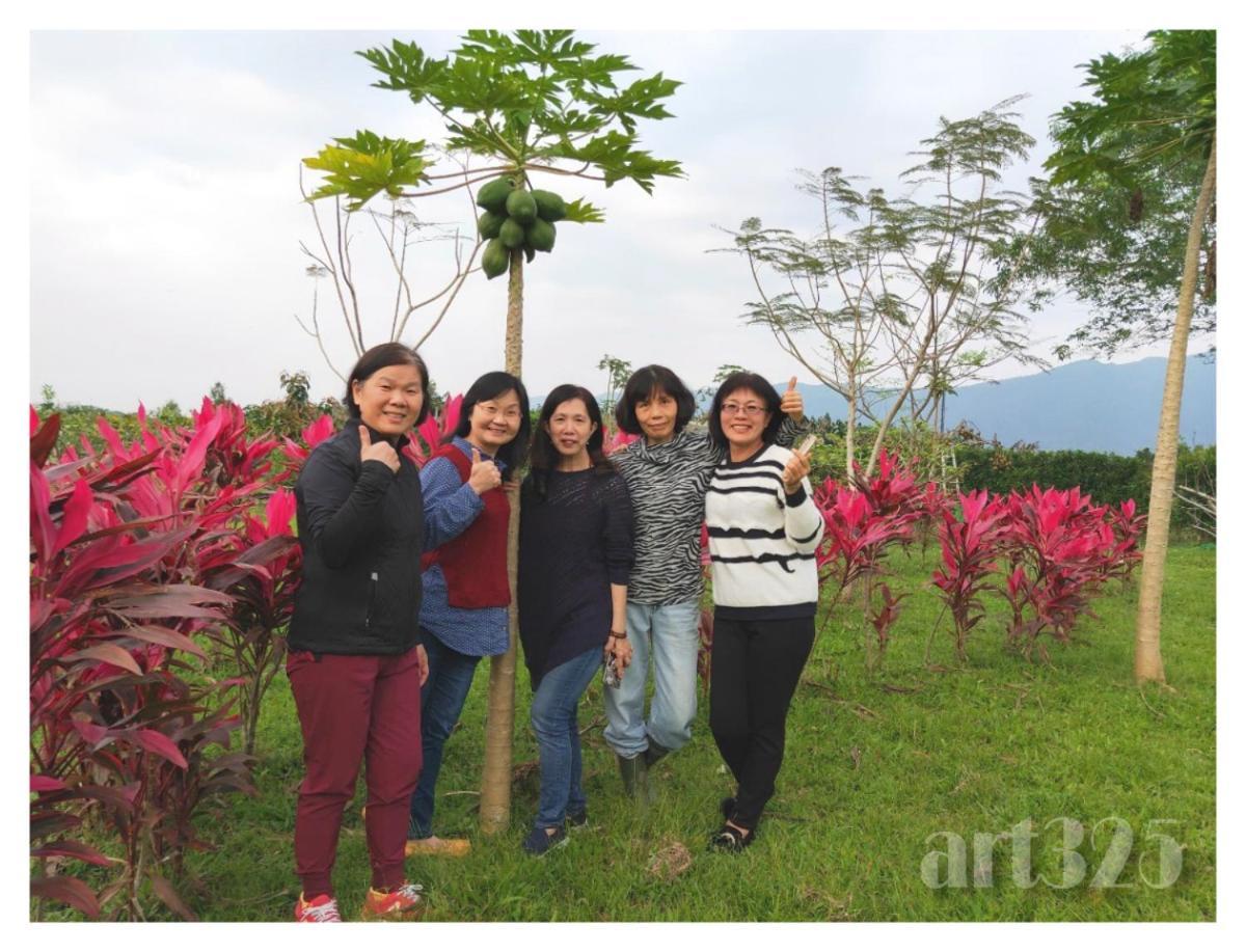 Yi Tian Homestay Fenglin Zewnętrze zdjęcie