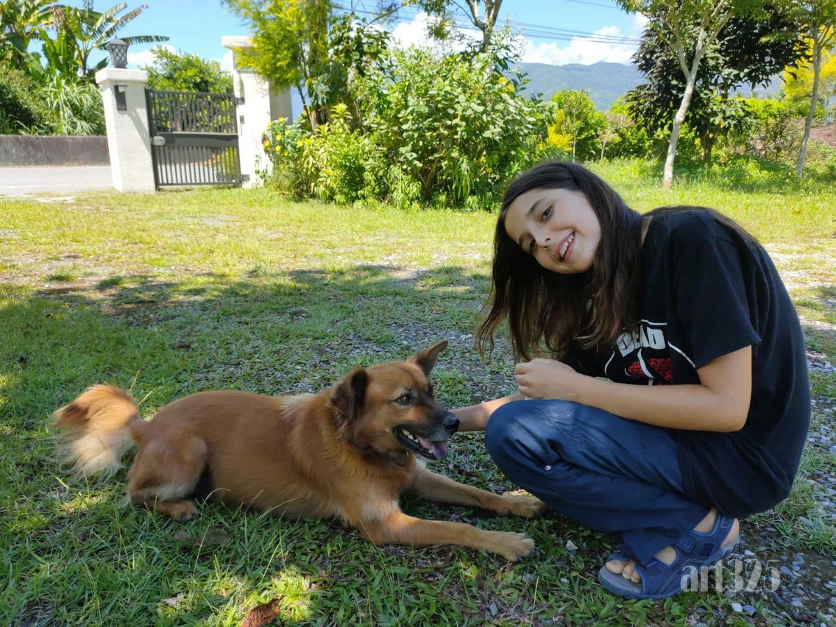 Yi Tian Homestay Fenglin Zewnętrze zdjęcie